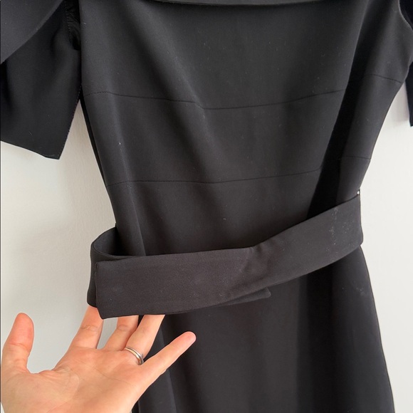 Elegant Black and Tan Dress - Picture 4 of 7